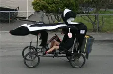 skunk_mobile.webp