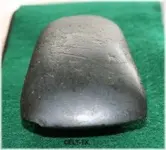CELT%20TX.webp