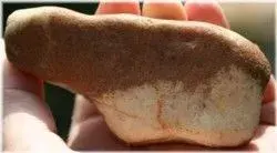 Stone.webp