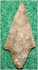 TX97.webp