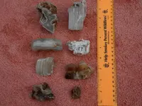 DSCN0541.webp