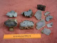 DSCN0545.webp