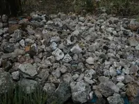 DSCN0538.webp