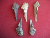 Awls06.webp