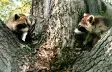 avatar_39542.webp
