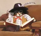 storybook time.webp