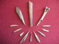 Awls09.webp