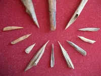 Awls10.webp