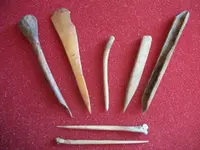 Awls14.webp