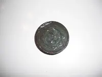 Button Wet.webp