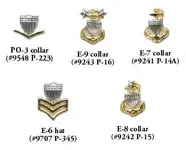coast guard_insigniaJ.webp