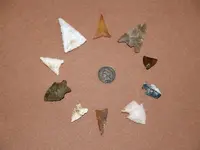 bird points 1.webp