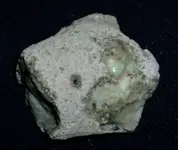 green2 001.webp