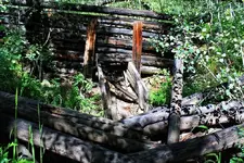 7-30d.webp