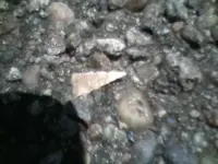 !cid__0710101320.webp