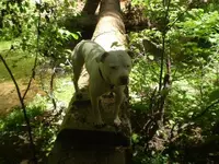 high 001.webp