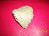 100_0751.webp