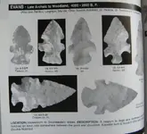 DSCN1016.webp