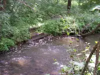 July 10,2010 011.webp