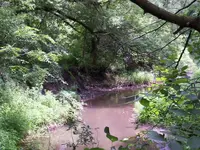 July 10,2010 012.webp