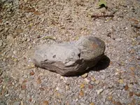 stone1.webp