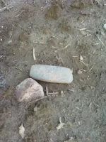 hardstone_celt_june09_2010_a.webp