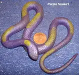 Snake.webp Snake.webp