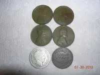 DSCN3988.webp