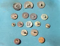 old buttons 2.webp