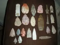 DSCN3981.webp