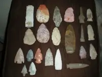 DSCN3982.webp