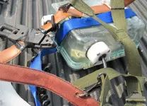 HARNESS2.webp