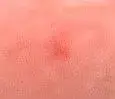 Picture 008.webp