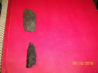 100_0698.webp