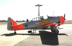 N.A.T7.webp
