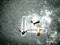 Rings 7-31-10.webp