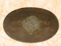 1923badgerev.webp