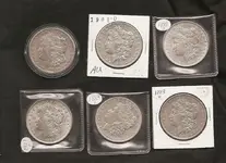 Morgans.webp