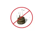 No Turds.webp
