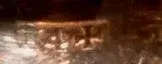 Copy of Picture 010.webp