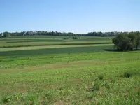 1-resized.webp