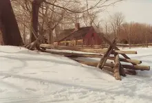 lost farm.webp