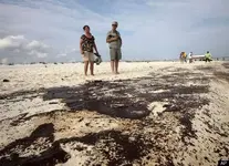 oilspillAL01.webp
