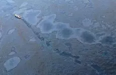 oilspillsheenoffPensacola.webp