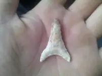 2010-07-21 19.30.17.webp