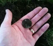061110_2.webp