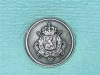 button fashion domed Belgian crest.webp