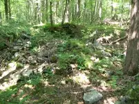 AUG 9th CELLAR HOLES WITH GARY GW BUTTON 006 [].webp