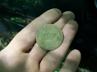 AUG 9th CELLAR HOLES WITH GARY GW BUTTON 003 [].webp