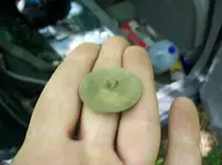 AUG 9th CELLAR HOLES WITH GARY GW BUTTON 004 [].webp